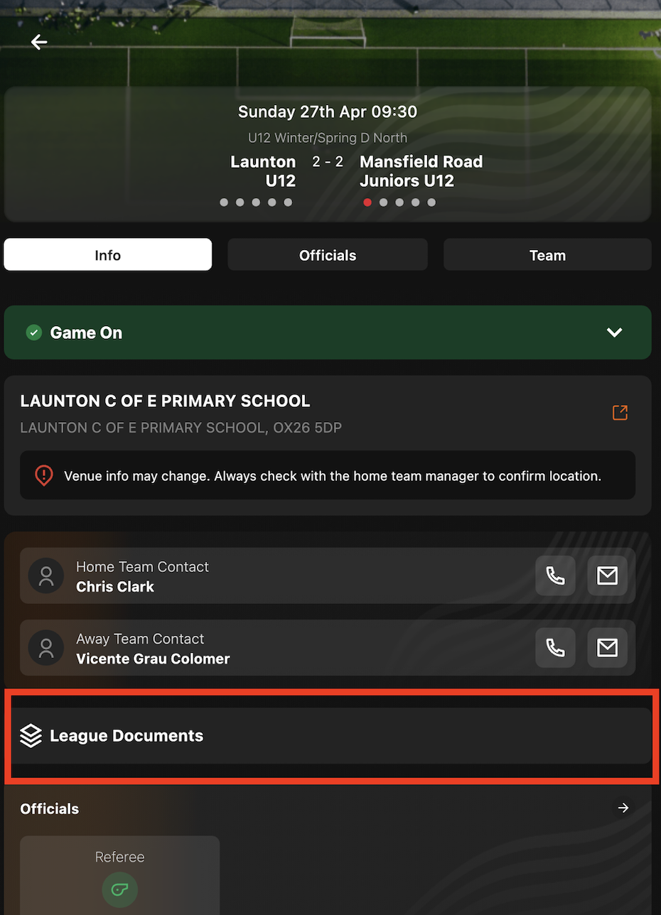 Manager view fixture